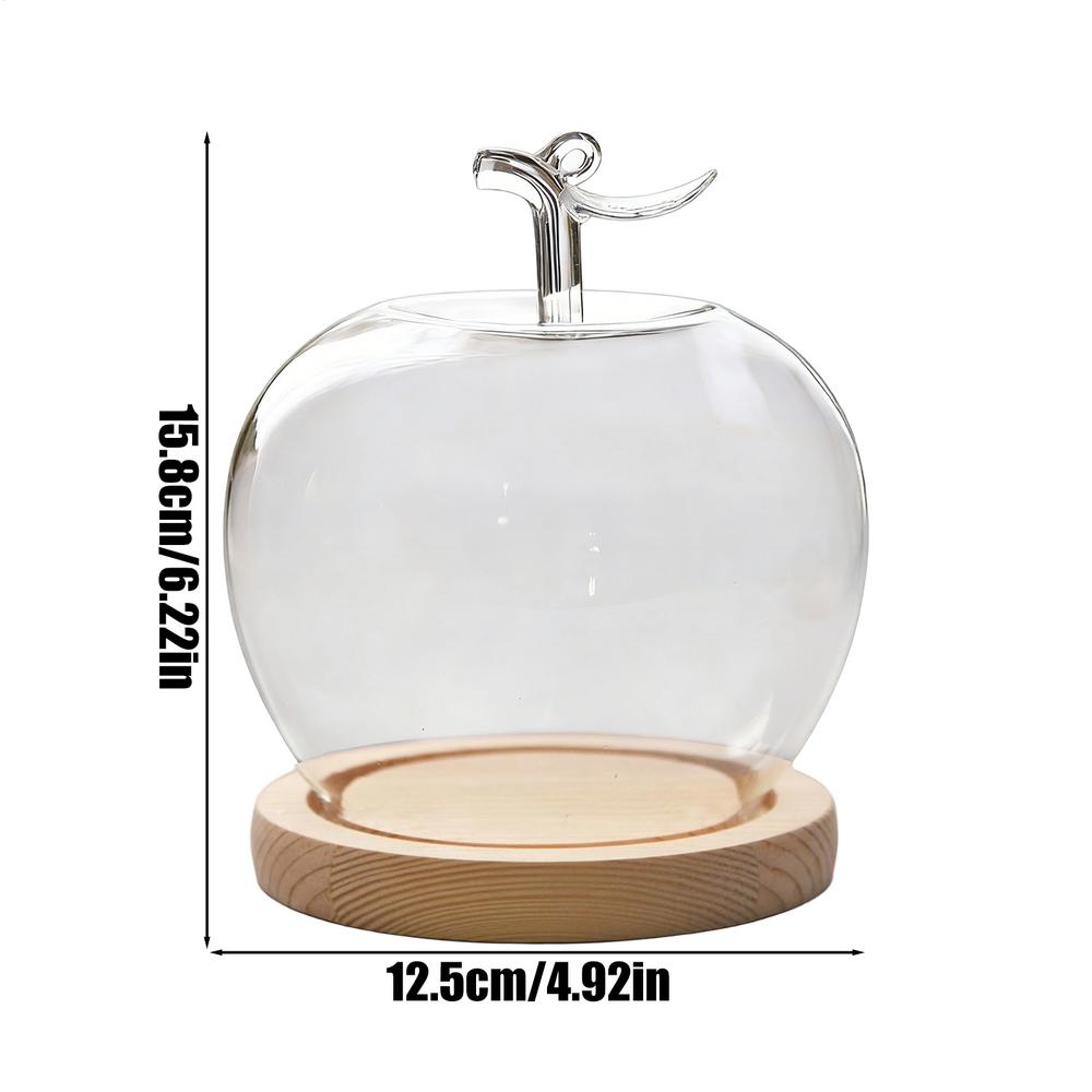 Glass Dome Fruit Shape Desktop Decoration Preserved Flower Glass Cloche for Collectors Home Office Retail Store Wedding Jewelry
Glass Dome Fruit Shape Desktop Decoration Preserved Flower Glass Cloche for Collectors Home Office Retail Store Wedding Jewelry