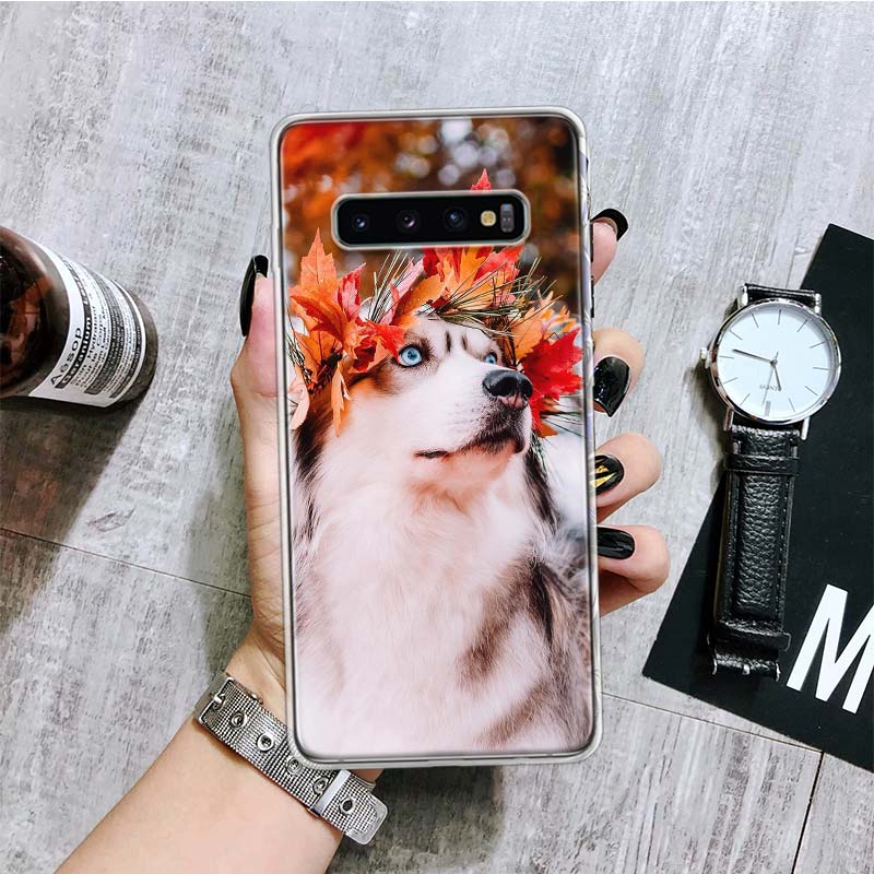 Siberian Husky Dog Phone Case For Samsung Galaxy S26 S25 Edge S24 S23 FE S22 Ultra S21 Plus S20 + Fundas Cover Coque Galaxy S25 Samsung S25 Edge
Siberian Husky Dog Phone Case For Samsung Galaxy S26 S25 Edge S24 S23 FE S22 Ultra S21 Plus S20 + Fundas Cover Coque Galaxy S25 Samsung S25 Edge
