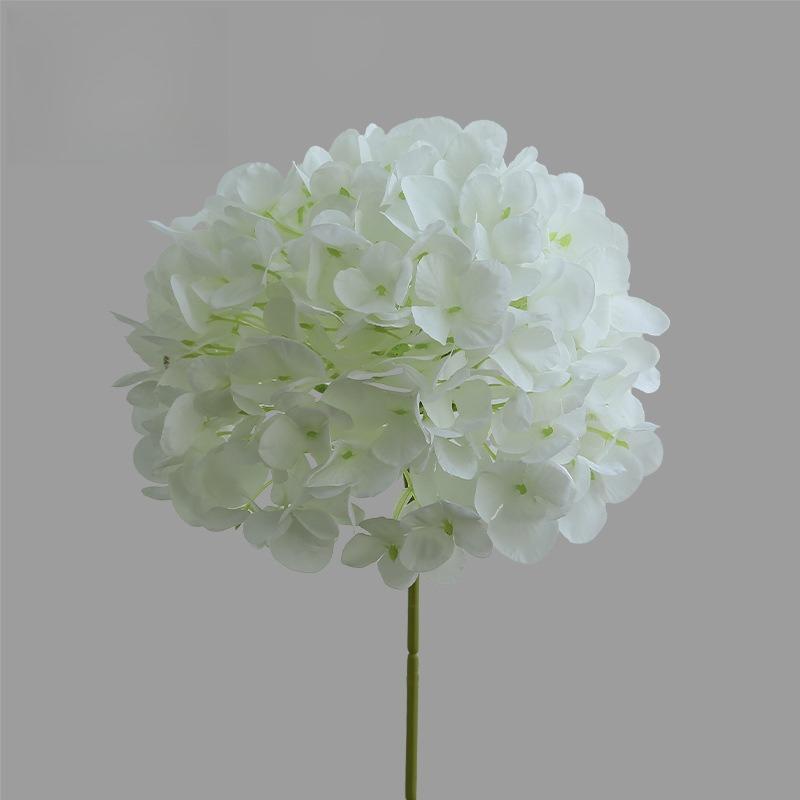 10pcs/lot 70cm Simulation Hydrangeas Branch Silk White Flowers Restaurant Decoration Artificial Hydrangea Plant Fake Flower белый
10pcs/lot 70cm Simulation Hydrangeas Branch Silk White Flowers Restaurant Decoration Artificial Hydrangea Plant Fake Flower белый