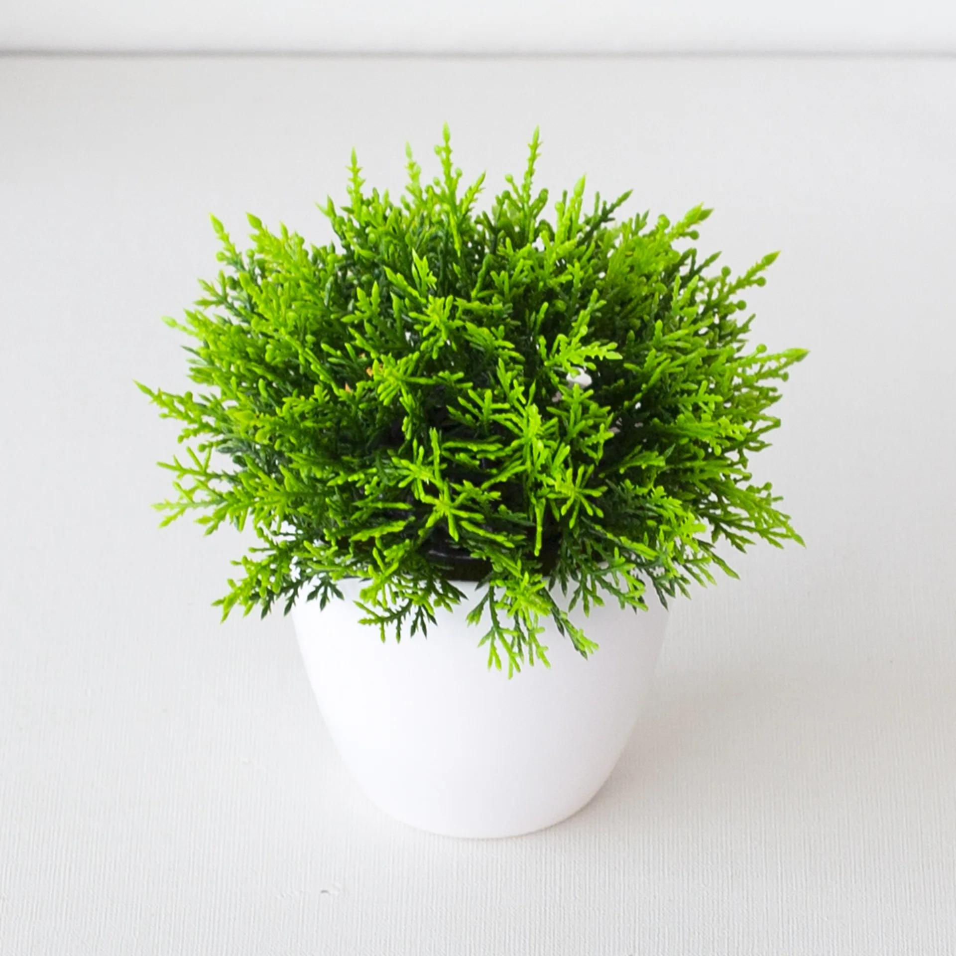 1pcs Green Plant Potted Plant Simulation Green Grass Ball Home Living Room Balcony Office Holiday Party Decor Photography Props Artificial plants
1pcs Green Plant Potted Plant Simulation Green Grass Ball Home Living Room Balcony Office Holiday Party Decor Photography Props Artificial plants