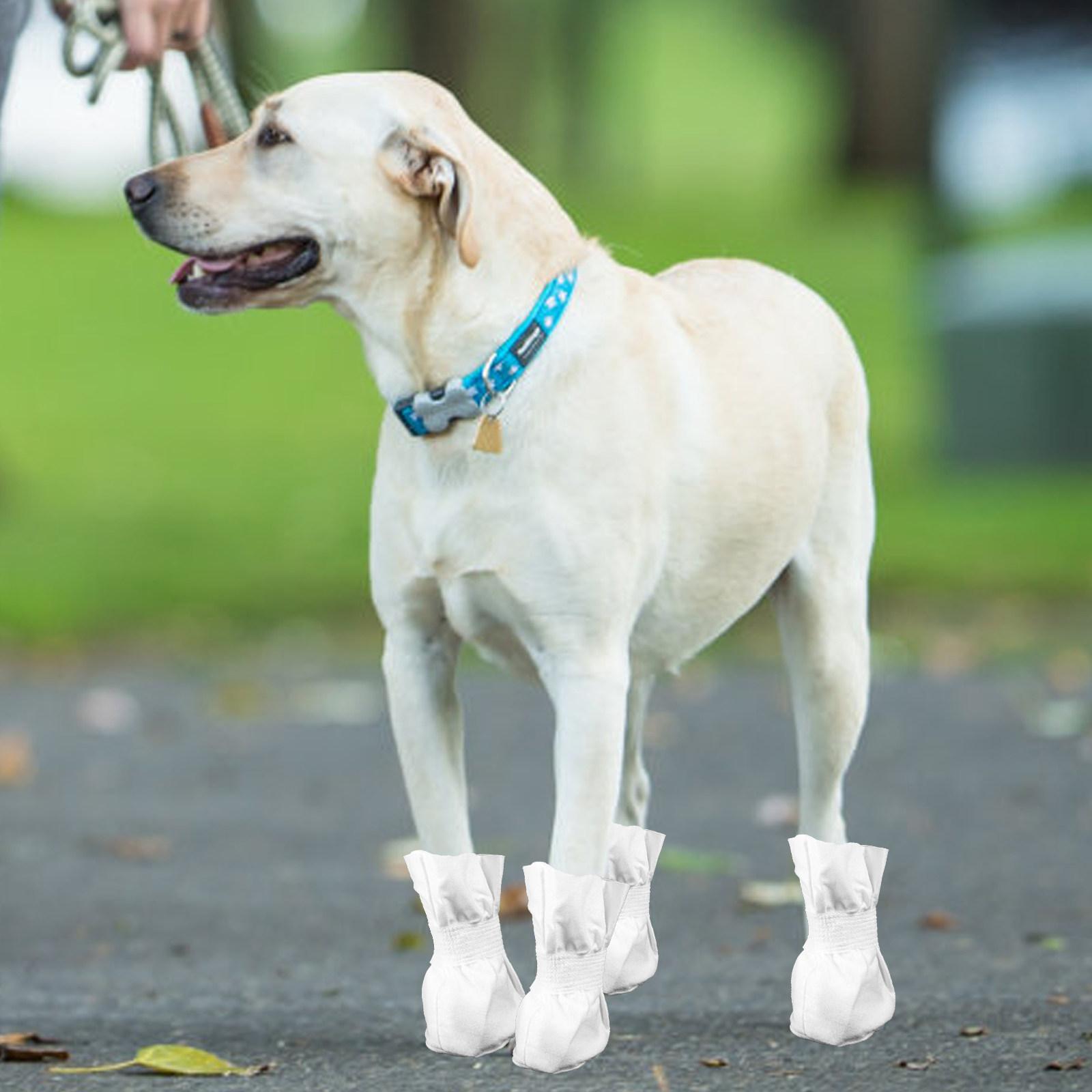 4Pcs Disposable Pet Shoes Dog Booties for Outdoor Use Comfortable Cloth Material Adjustable Strap for Dogs Cats Puppies 10x4.5cm
4Pcs Disposable Pet Shoes Dog Booties for Outdoor Use Comfortable Cloth Material Adjustable Strap for Dogs Cats Puppies 10x4.5cm