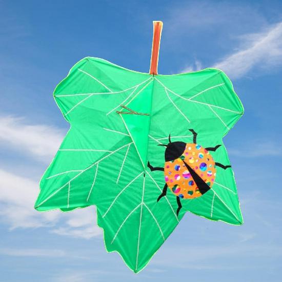 Weifang Maple Leaf Kite: Novel, High-End, Easy to Fly in a Breeze, Exudes Autumn Beauty кленовый/оранжевый
Weifang Maple Leaf Kite: Novel, High-End, Easy to Fly in a Breeze, Exudes Autumn Beauty кленовый/оранжевый