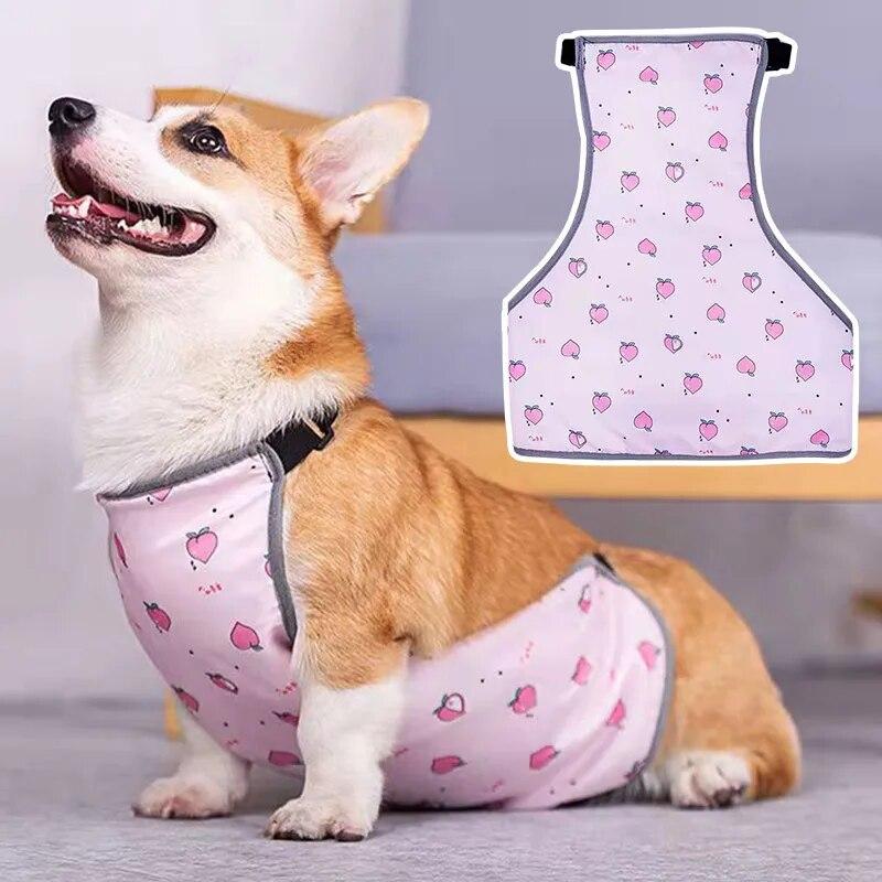 Neue Hunde bauch tasche Hunde bauchs chutz kleidung Wasserdicht Warmer Eimer Regenmantel Haustier Wasserdichte Hunde kleidung Hunde lätzchen
Neue Hunde bauch tasche Hunde bauchs chutz kleidung Wasserdicht Warmer Eimer Regenmantel Haustier Wasserdichte Hunde kleidung Hunde lätzchen