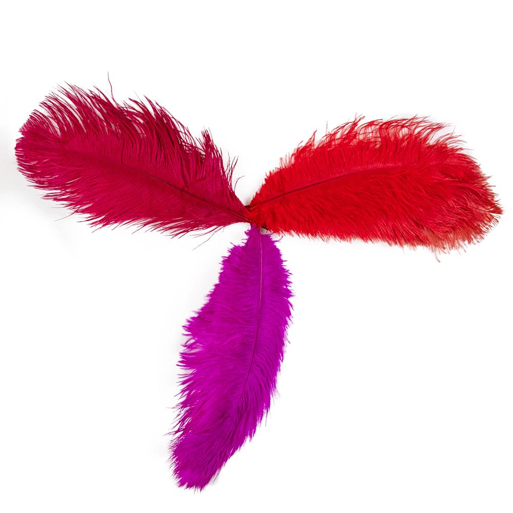 10Pcs Colorful Ostrich Feathers 15-20Cm 20-25Cm 25-30Cm Plumes Bulk For Handicraft Dream Catcher Crafting Accessories 15-20cm коричневий
10Pcs Colorful Ostrich Feathers 15-20Cm 20-25Cm 25-30Cm Plumes Bulk For Handicraft Dream Catcher Crafting Accessories 15-20cm коричневий