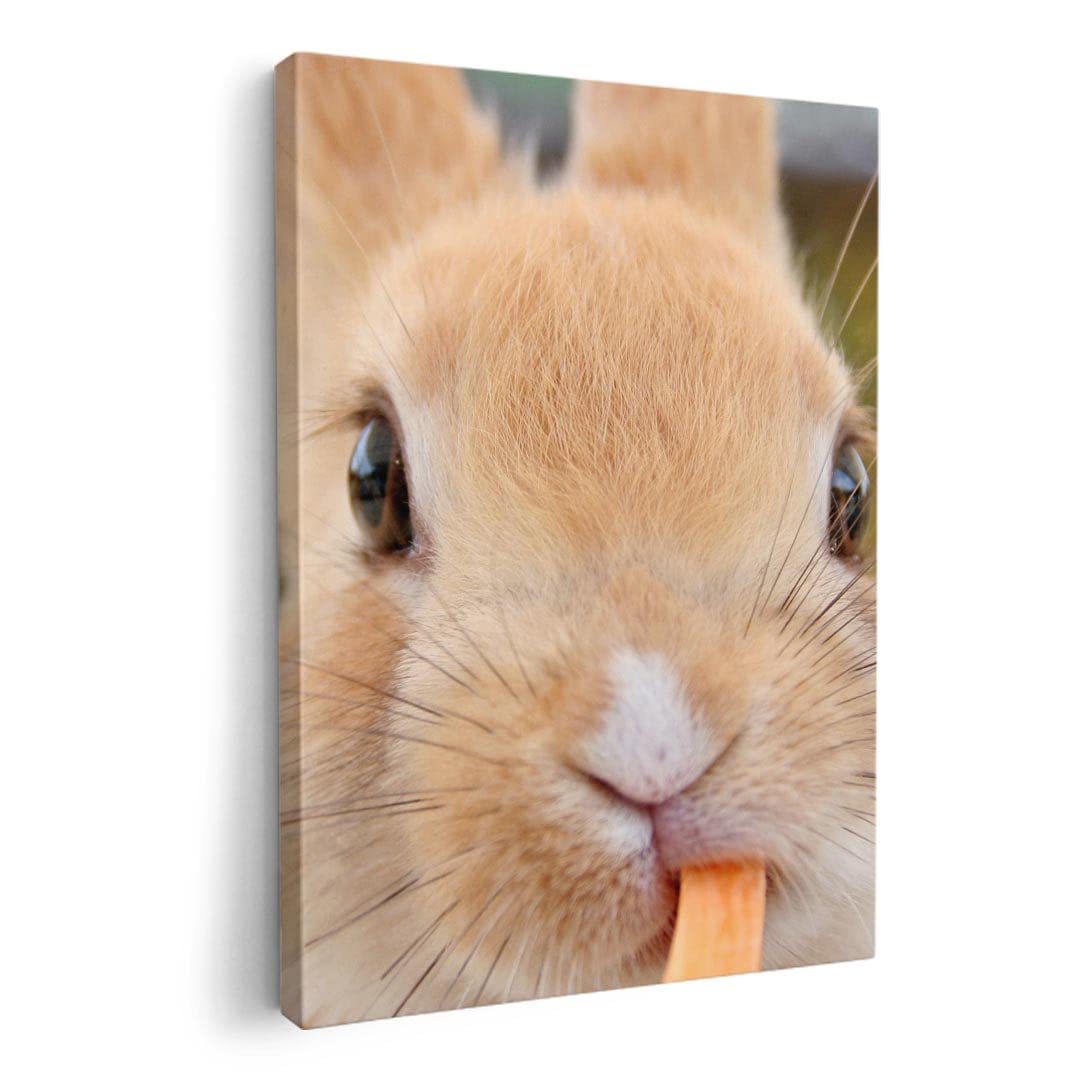 Art 420mm x Wall Wooden Stylish Interior Animal Photo Panel, Painting, Decoration, igsticker, 297mm, A3, Photo, Hanging, Frame, Decor, 002807, Animal,
Art 420mm x Wall Wooden Stylish Interior Animal Photo Panel, Painting, Decoration, igsticker, 297mm, A3, Photo, Hanging, Frame, Decor, 002807, Animal,