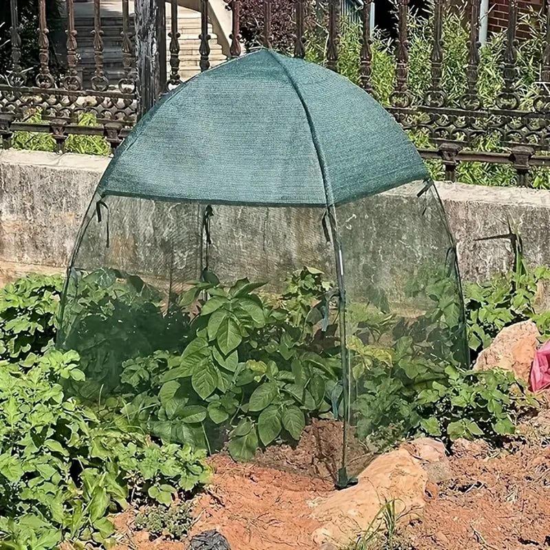Plant Shade Cover Shade Canopy for Plants Foldable Animals Guard Gardening Accessories for Tomato Strawberry Trees Fruits
Plant Shade Cover Shade Canopy for Plants Foldable Animals Guard Gardening Accessories for Tomato Strawberry Trees Fruits