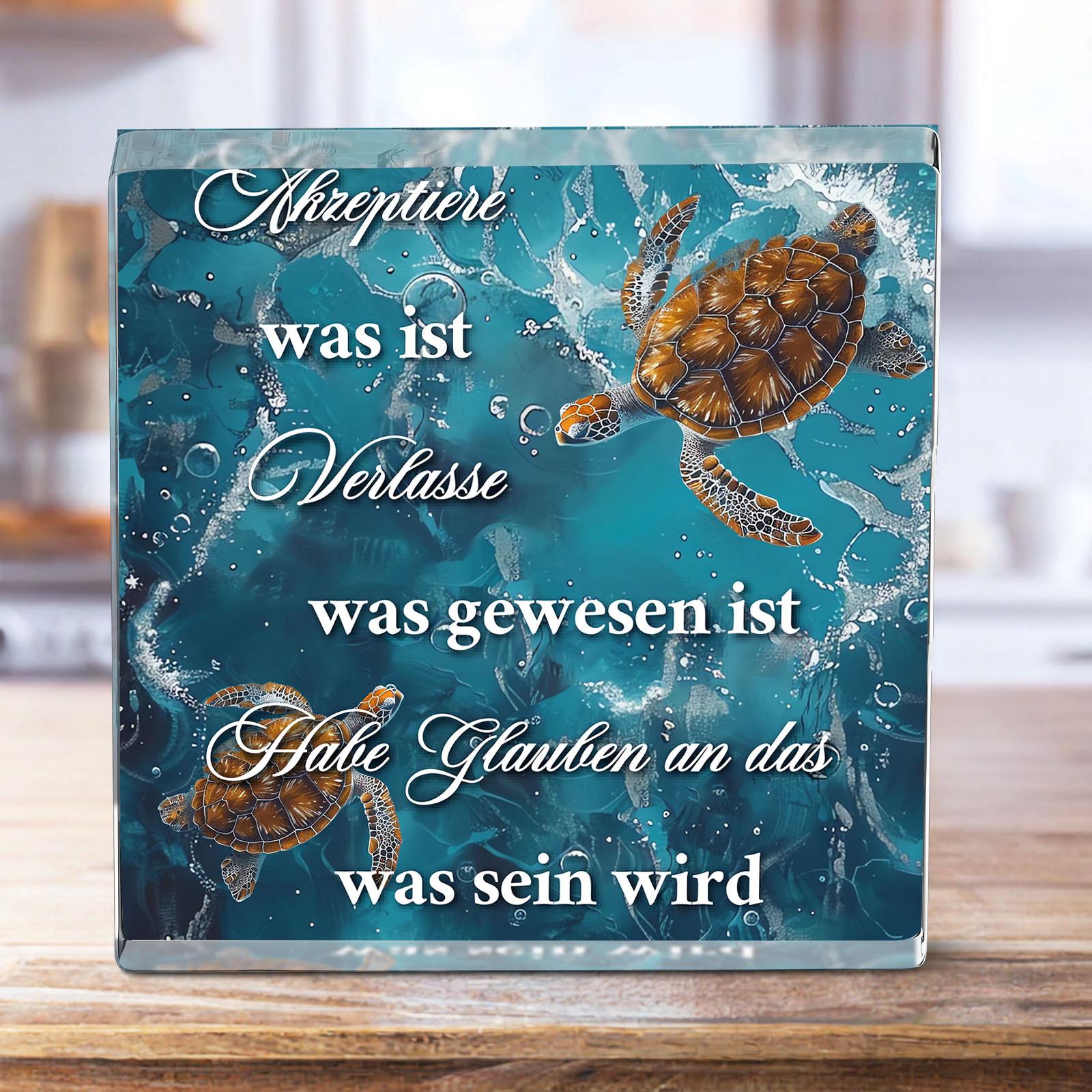 Believe in The Future Turtle Acrylic Plaque, Inspirational Desktop Decor, Universal Holiday Gift for Christmas, Halloween, Thanksgiving, New Year 10*10cm
Believe in The Future Turtle Acrylic Plaque, Inspirational Desktop Decor, Universal Holiday Gift for Christmas, Halloween, Thanksgiving, New Year 10*10cm