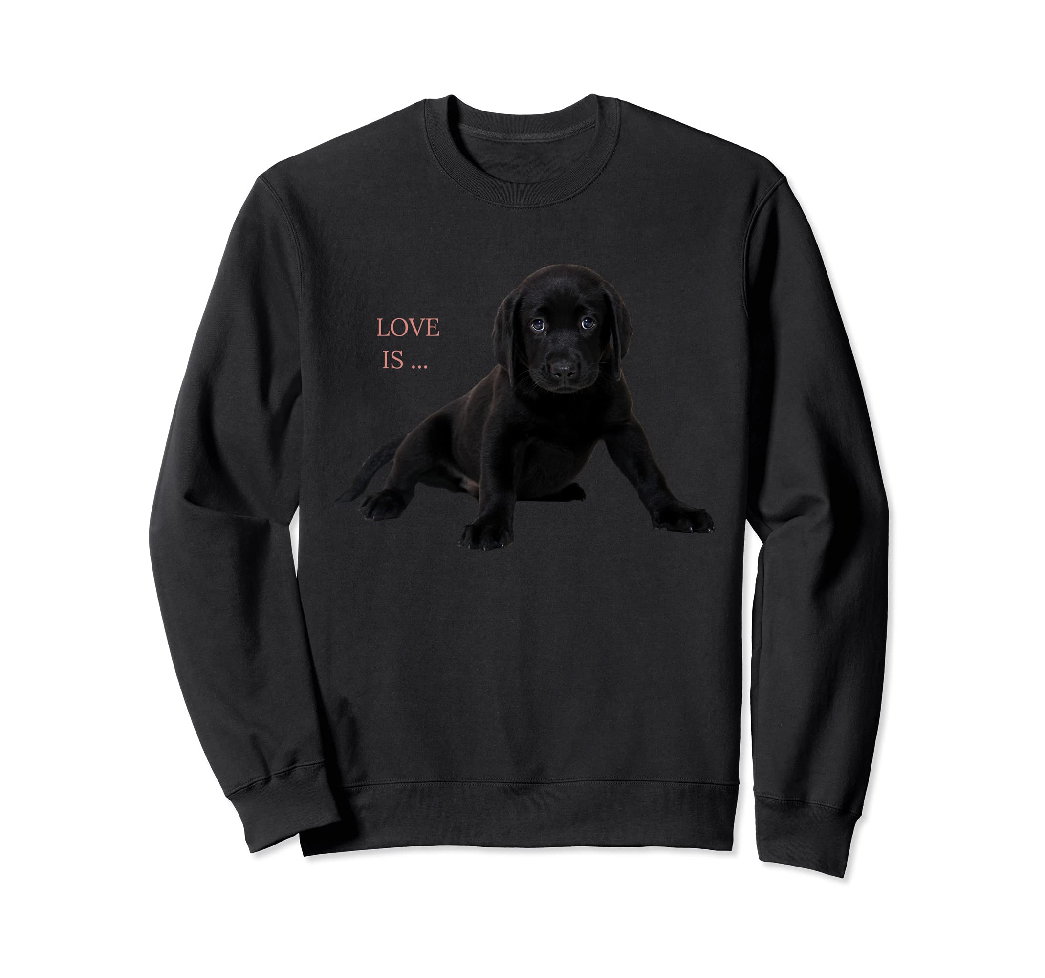 Черная футболка с изображением лабрадора-ретривера Love Lab Mom Dad Chocolate Sweatshirt
Черная футболка с изображением лабрадора-ретривера Love Lab Mom Dad Chocolate Sweatshirt