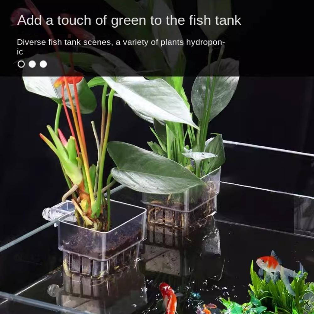 Planted Tank Hanging Aquarium Plant Holder Hydroponic Aquarium Planter Cups for Fish Tank прозорий
Planted Tank Hanging Aquarium Plant Holder Hydroponic Aquarium Planter Cups for Fish Tank прозорий