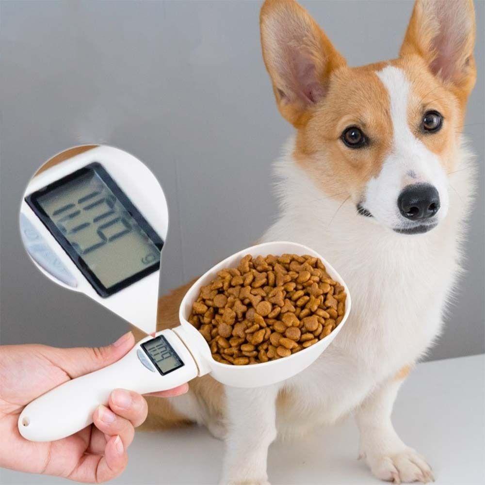 Plastic Pet Food Coffee Milk Powder Measuring Spoon Baking Tool Metering Scale Weighing Spoon
Plastic Pet Food Coffee Milk Powder Measuring Spoon Baking Tool Metering Scale Weighing Spoon