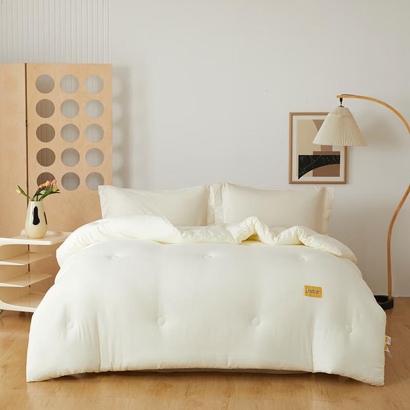 Snoopy Soft Winter Quilt
Snoopy Soft Winter Quilt