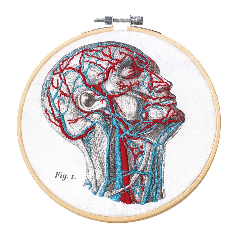 Sci Science Factory DIY Blood Vessel Embroidery 2 Types of Embroidery Embroidery Colored Tool Kit Mr. Kit, Cloths, Hoop, Thread,
Sci Science Factory DIY Blood Vessel Embroidery 2 Types of Embroidery Embroidery Colored Tool Kit Mr. Kit, Cloths, Hoop, Thread,