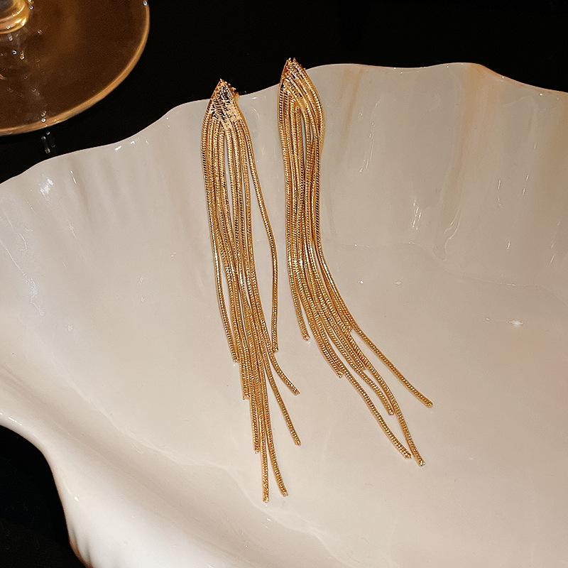 Silver Needle Metal Fringe Geometric Earrings European and American Niche Cold Wind Earrings Fashion Advanced Versatile Earrings
Silver Needle Metal Fringe Geometric Earrings European and American Niche Cold Wind Earrings Fashion Advanced Versatile Earrings