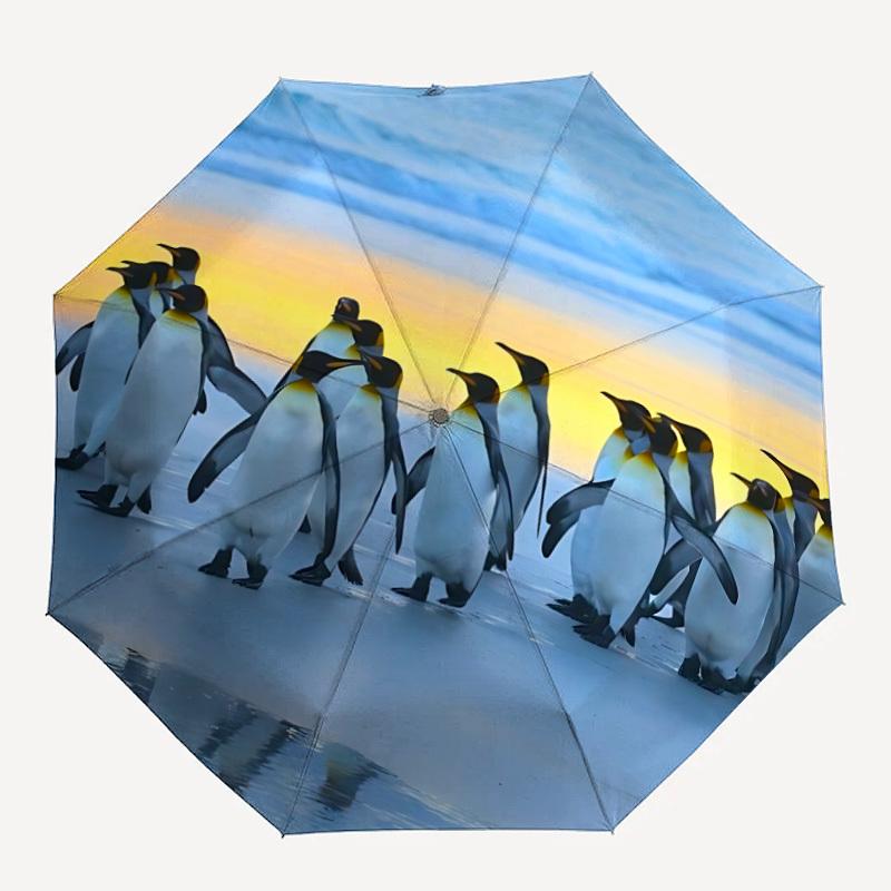 1pc Penguin Beach Automatic Umbrella with 8-Rib Compact Design, Foldable & Portable for Outdoor Leisure, Everyday Use182
1pc Penguin Beach Automatic Umbrella with 8-Rib Compact Design, Foldable & Portable for Outdoor Leisure, Everyday Use182