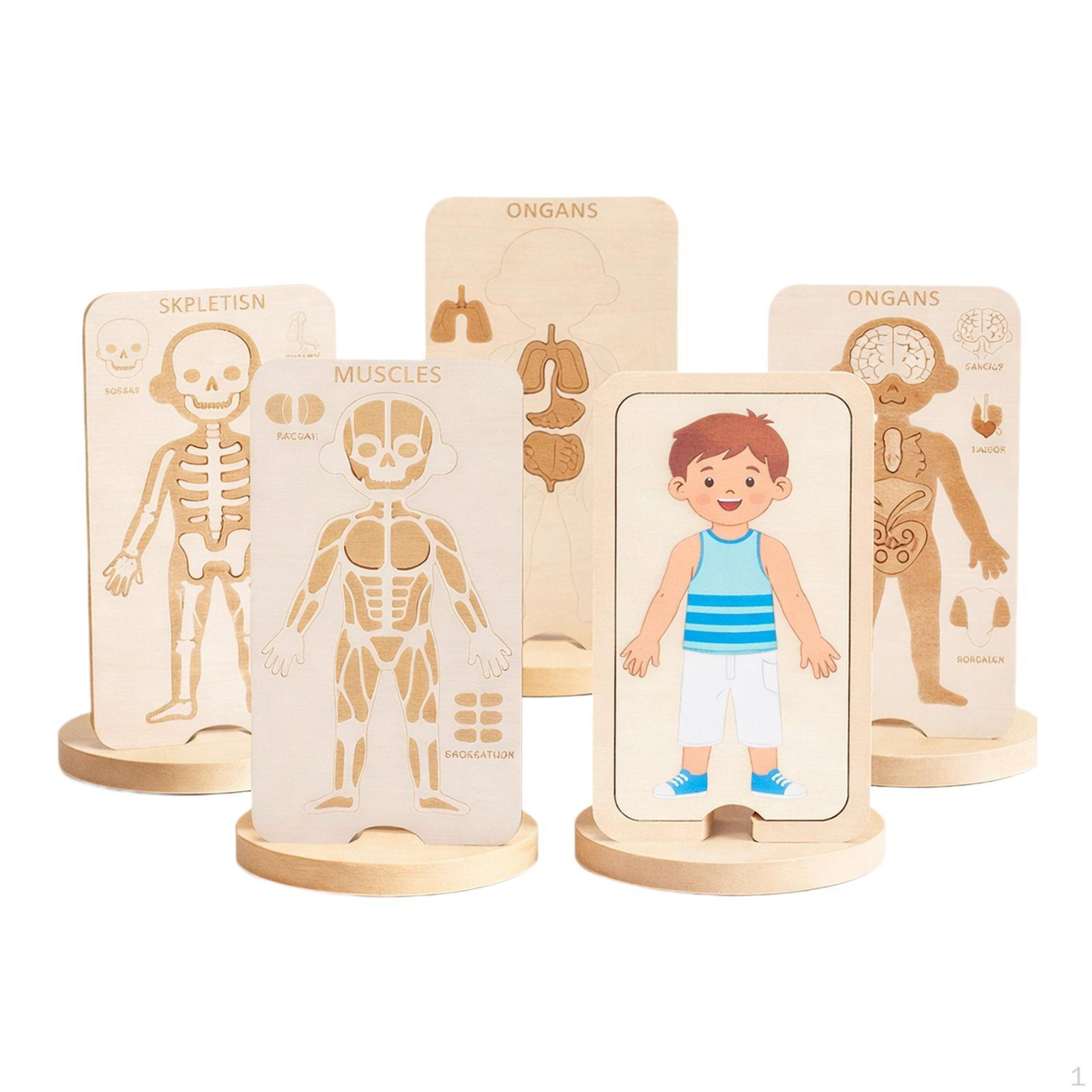 Game: Interactive And Creative Puzzle Depicting The Human Body – A Multi-Level Skeleton, Ideal As Boy
Game: Interactive And Creative Puzzle Depicting The Human Body – A Multi-Level Skeleton, Ideal As Boy