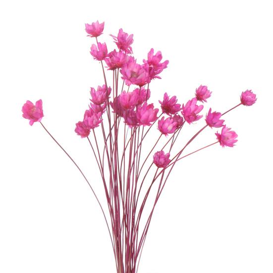 Красивый цветочный букет Не увядает Романтический Устойчив к УФ-излучению
Красивый цветочный букет Не увядает Романтический Устойчив к УФ-излучению