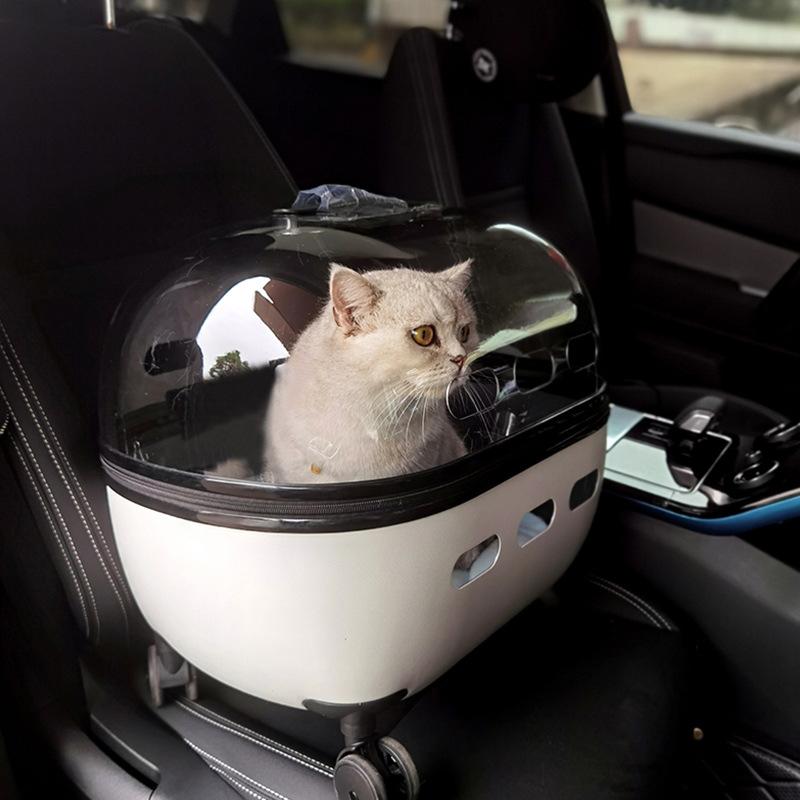 Pet Trolley Luggage Portable Cat Bag for Outdoor Use Handbag Large Transparent Cat Box белый
Pet Trolley Luggage Portable Cat Bag for Outdoor Use Handbag Large Transparent Cat Box белый