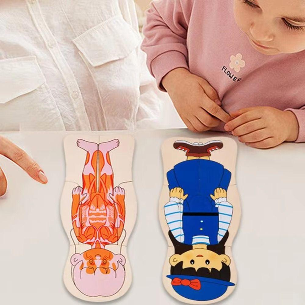 Parent-child Interaction Body Structure Puzzle Educational Anatomy Jigsaw Cognitive Teaching Aids Style C
Parent-child Interaction Body Structure Puzzle Educational Anatomy Jigsaw Cognitive Teaching Aids Style C