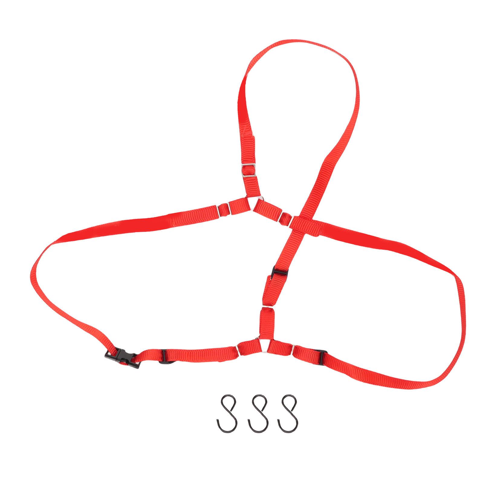 RC Car Spare Tire Mount Strap Spare Tire Strap Kit Fit for TRAXXAS UDR 1/10 RC Cars Nylon Spare Tire Fixed with Hooks червоний
RC Car Spare Tire Mount Strap Spare Tire Strap Kit Fit for TRAXXAS UDR 1/10 RC Cars Nylon Spare Tire Fixed with Hooks червоний