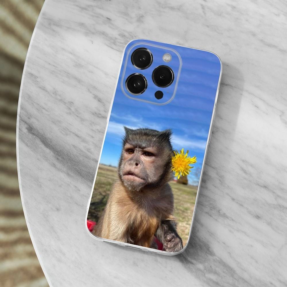 S-Sipping C-Caprisun Monkey Case For iPhone Max,13,XR,SE,12,15,Pro,17,Plus,11,14,16,X,XS,Mini Transparent Soft Cover iPhone17Promax
S-Sipping C-Caprisun Monkey Case For iPhone Max,13,XR,SE,12,15,Pro,17,Plus,11,14,16,X,XS,Mini Transparent Soft Cover iPhone17Promax