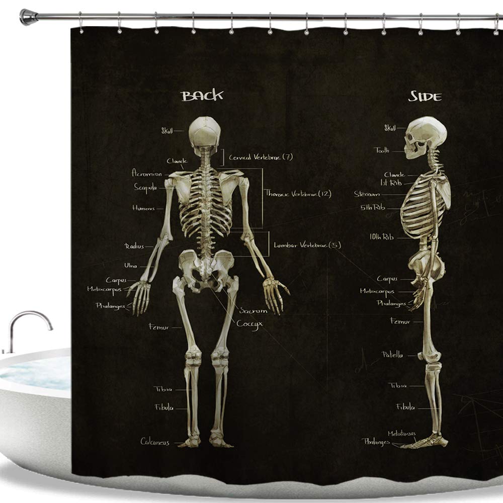 Human Body Shower Curtain Illustration Bathroom Decor,Science Human Anatomy Shower Curtains,Skeleton Skull Fabric Bathroom Set W60H190(CM)-1 Pcs
Human Body Shower Curtain Illustration Bathroom Decor,Science Human Anatomy Shower Curtains,Skeleton Skull Fabric Bathroom Set W60H190(CM)-1 Pcs