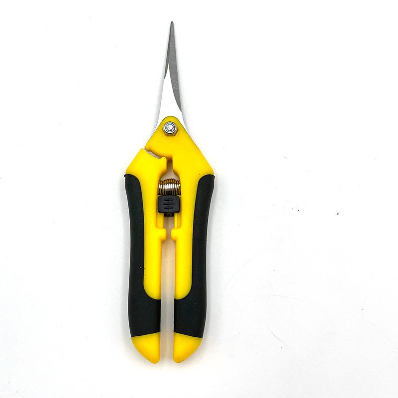 Stainless Steel Pruning Shears: Ideal for Fruit, Flowers & Branches
Stainless Steel Pruning Shears: Ideal for Fruit, Flowers & Branches