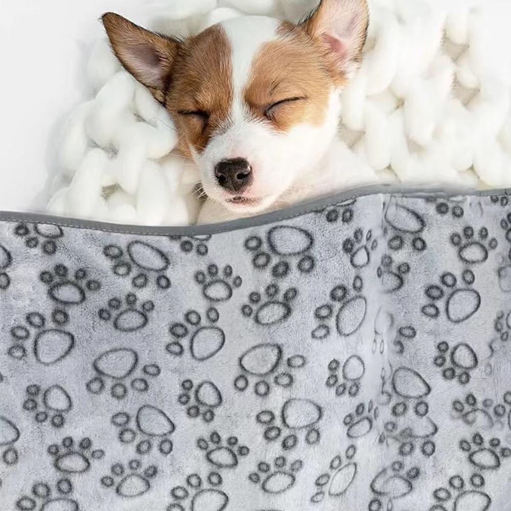 Washable Pet Calming Blanket Fluffy Cat Cover Blanket Pet Supplies Pet Sleeping Pad Winter 52x76cm
Washable Pet Calming Blanket Fluffy Cat Cover Blanket Pet Supplies Pet Sleeping Pad Winter 52x76cm