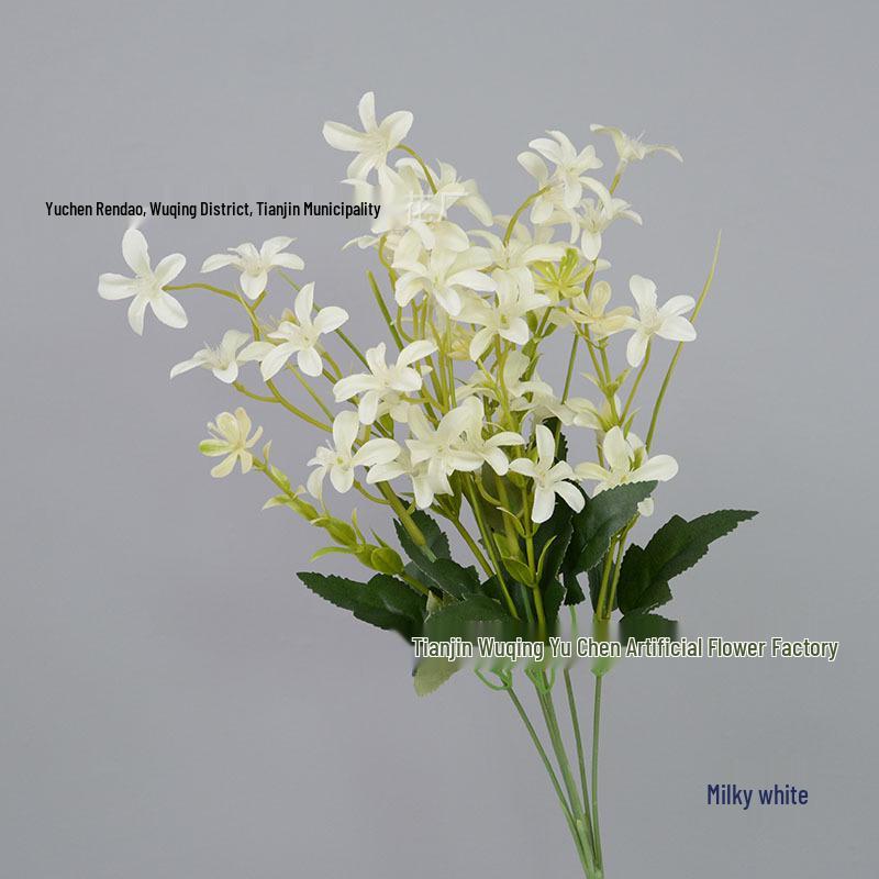 Crystal Lily Phalaenopsis Chlorophytum Garden Landscape Model for Children s Dance, E18 Height: approx. 40cm кремовый/белый
Crystal Lily Phalaenopsis Chlorophytum Garden Landscape Model for Children s Dance, E18 Height: approx. 40cm кремовый/белый