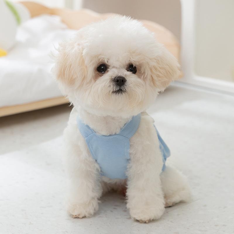 Cute animal shape suspender skirt pet dog dog teddy bear small dog pet clothes cat skirt supplies XXL (recommended weight 15-10kg)
Cute animal shape suspender skirt pet dog dog teddy bear small dog pet clothes cat skirt supplies XXL (recommended weight 15-10kg)
