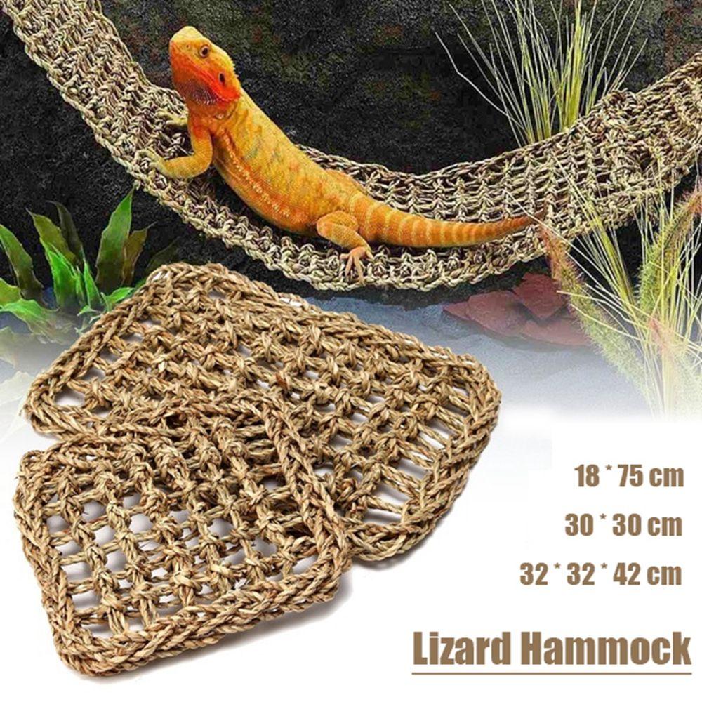 Weave Seaweed Sleeping Reptile Pet Supplies Geckos Mat Hammock Hanging Bed Accessories 3
Weave Seaweed Sleeping Reptile Pet Supplies Geckos Mat Hammock Hanging Bed Accessories 3