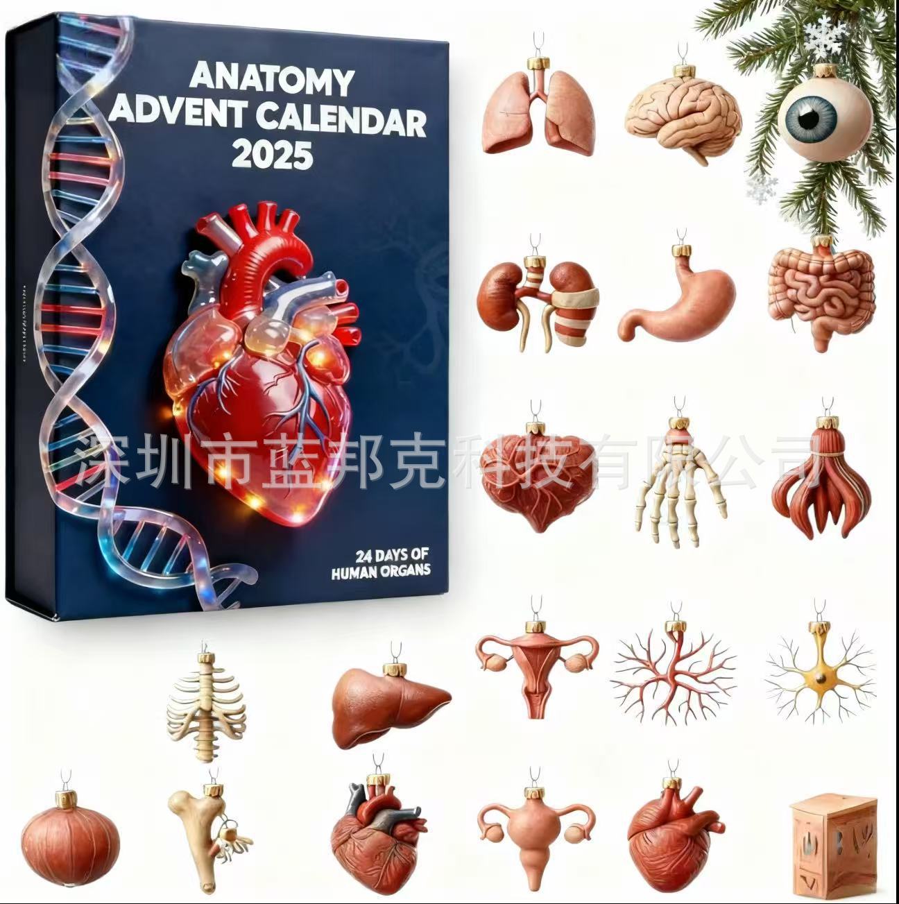 New Anatomy Advent Calendar 2025 Anatomy Acrylic Pendant Christmas Advent Calendar M
New Anatomy Advent Calendar 2025 Anatomy Acrylic Pendant Christmas Advent Calendar M
