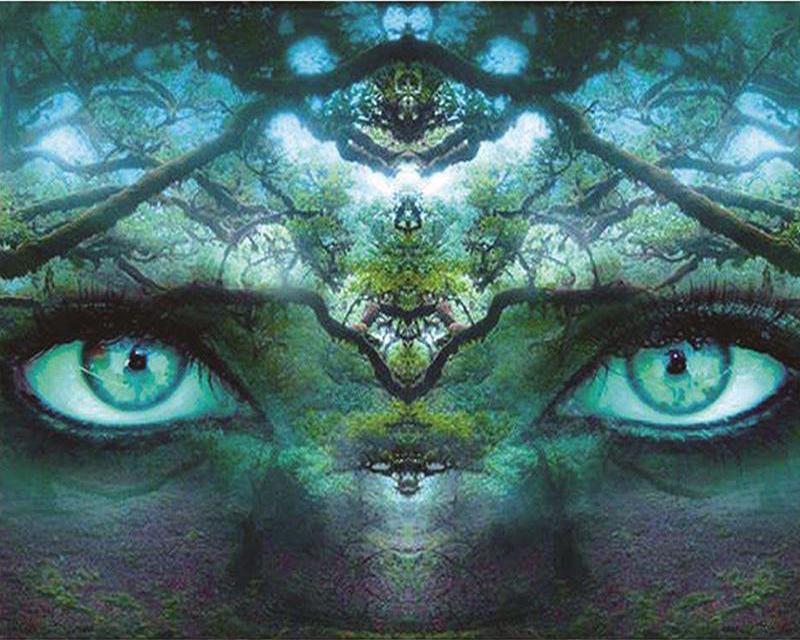 DIY Алмазная вышивка Снежный городской пейзаж Полный дрель Подарок ручной работы Алмазная картина Мультфильм Снежный волк Сова Животное Мозаика Рукоделие Украшение дома Full Square 20X30CM светло-синий
DIY Алмазная вышивка Снежный городской пейзаж Полный дрель Подарок ручной работы Алмазная картина Мультфильм Снежный волк Сова Животное Мозаика Рукоделие Украшение дома Full Square 20X30CM светло-синий