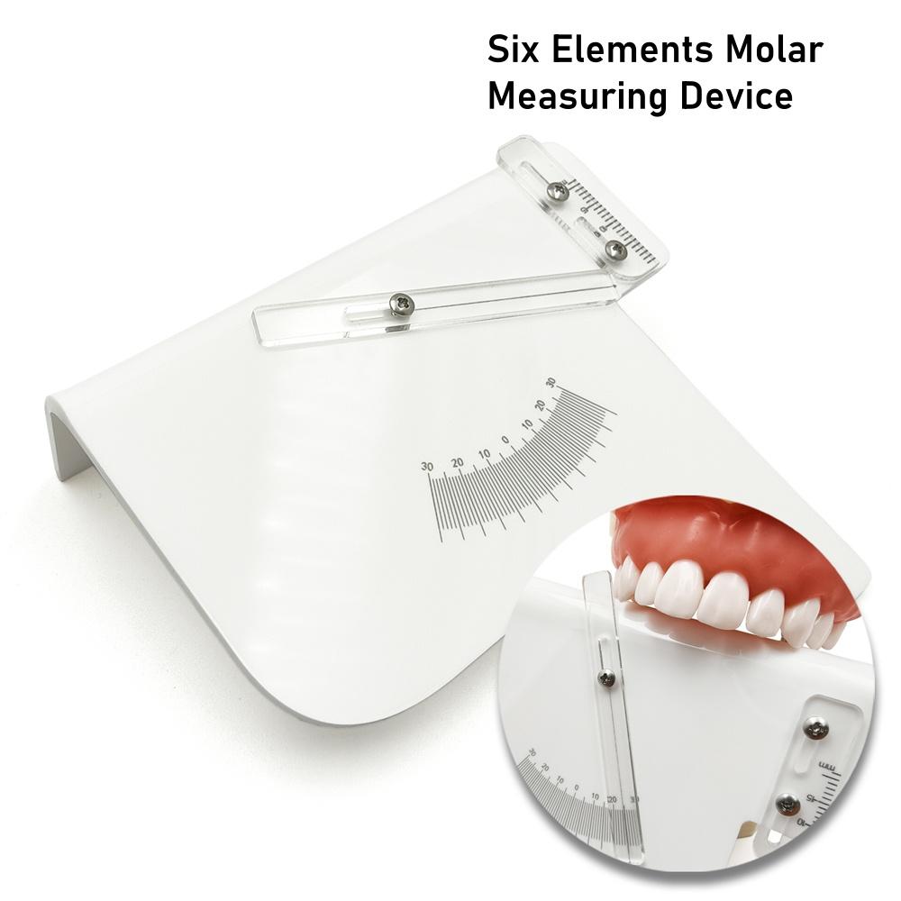 Dental Measuring Ruler Molar Measuring Device Dental combined protractor and sliding ruler 1 set
Dental Measuring Ruler Molar Measuring Device Dental combined protractor and sliding ruler 1 set