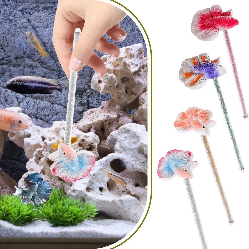 Realistic Betta Stick Decorative Fish Training Teaser Wand Betta Training Wand Fish Training красный
Realistic Betta Stick Decorative Fish Training Teaser Wand Betta Training Wand Fish Training красный