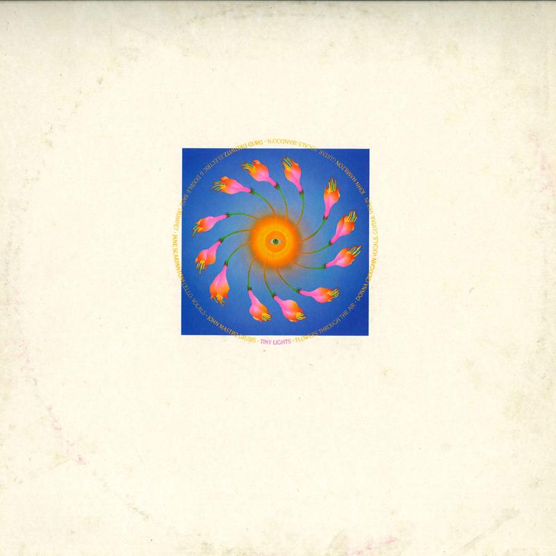 12inch Record TINY LIGHTS - Flowers Through The Air TOPY008 Temple Records 1985 UK Rock Used
12inch Record TINY LIGHTS - Flowers Through The Air TOPY008 Temple Records 1985 UK Rock Used