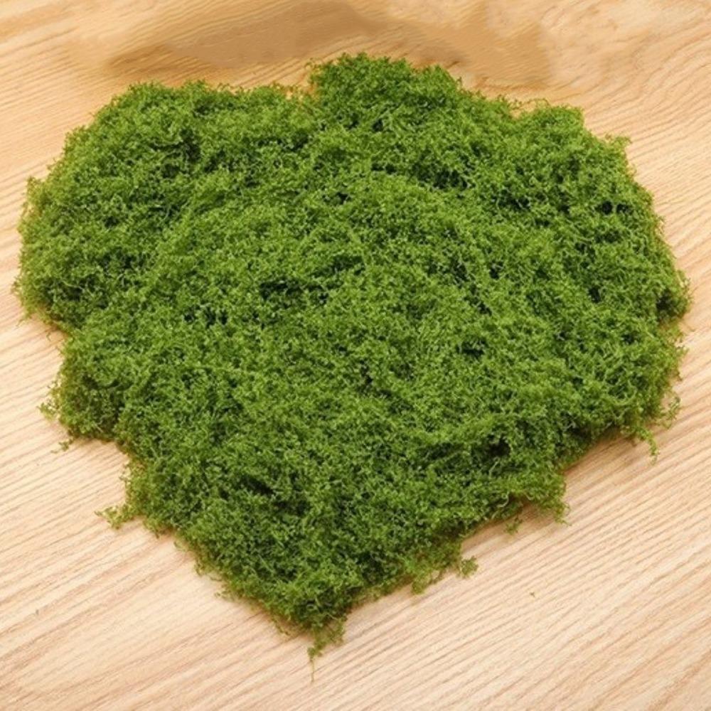 Realistic Texture Artificial Moss Plants DIY Craft Preserved Reindeer Moss Home Room Decor 100g
Realistic Texture Artificial Moss Plants DIY Craft Preserved Reindeer Moss Home Room Decor 100g