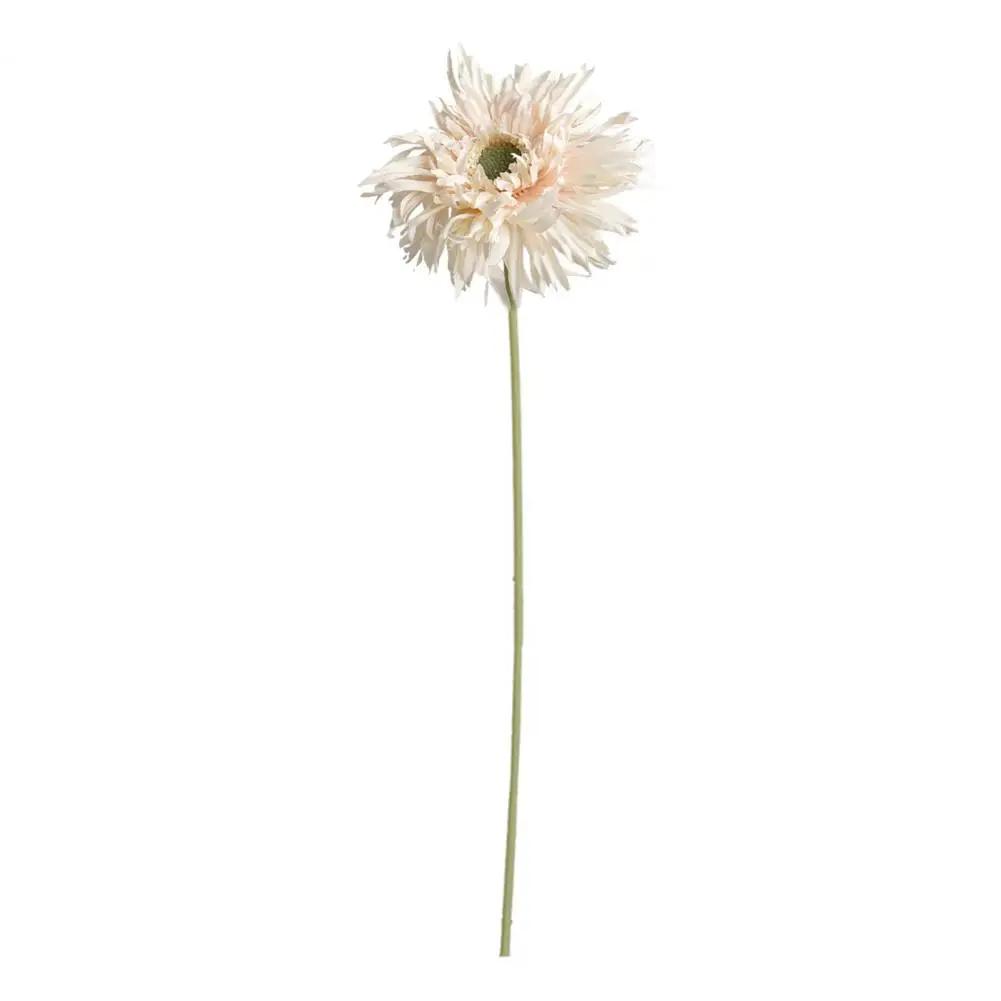 10 Bunch Of Artificial Gerbera Silk Flower Daisys Artificial Flower Sunflower Home Garden Party Wedding Decoration 10PCS світло-рожевий колір
10 Bunch Of Artificial Gerbera Silk Flower Daisys Artificial Flower Sunflower Home Garden Party Wedding Decoration 10PCS світло-рожевий колір