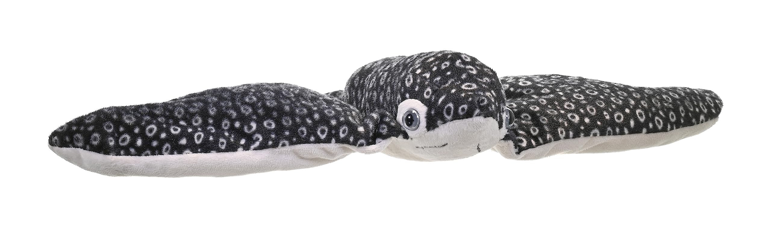 Wild Republic Spotted Eagle Ray Plush Toy, Soft Sea Creature, Gift, Cuddlekins, W55 x D54 x H9cm, 22470
Wild Republic Spotted Eagle Ray Plush Toy, Soft Sea Creature, Gift, Cuddlekins, W55 x D54 x H9cm, 22470