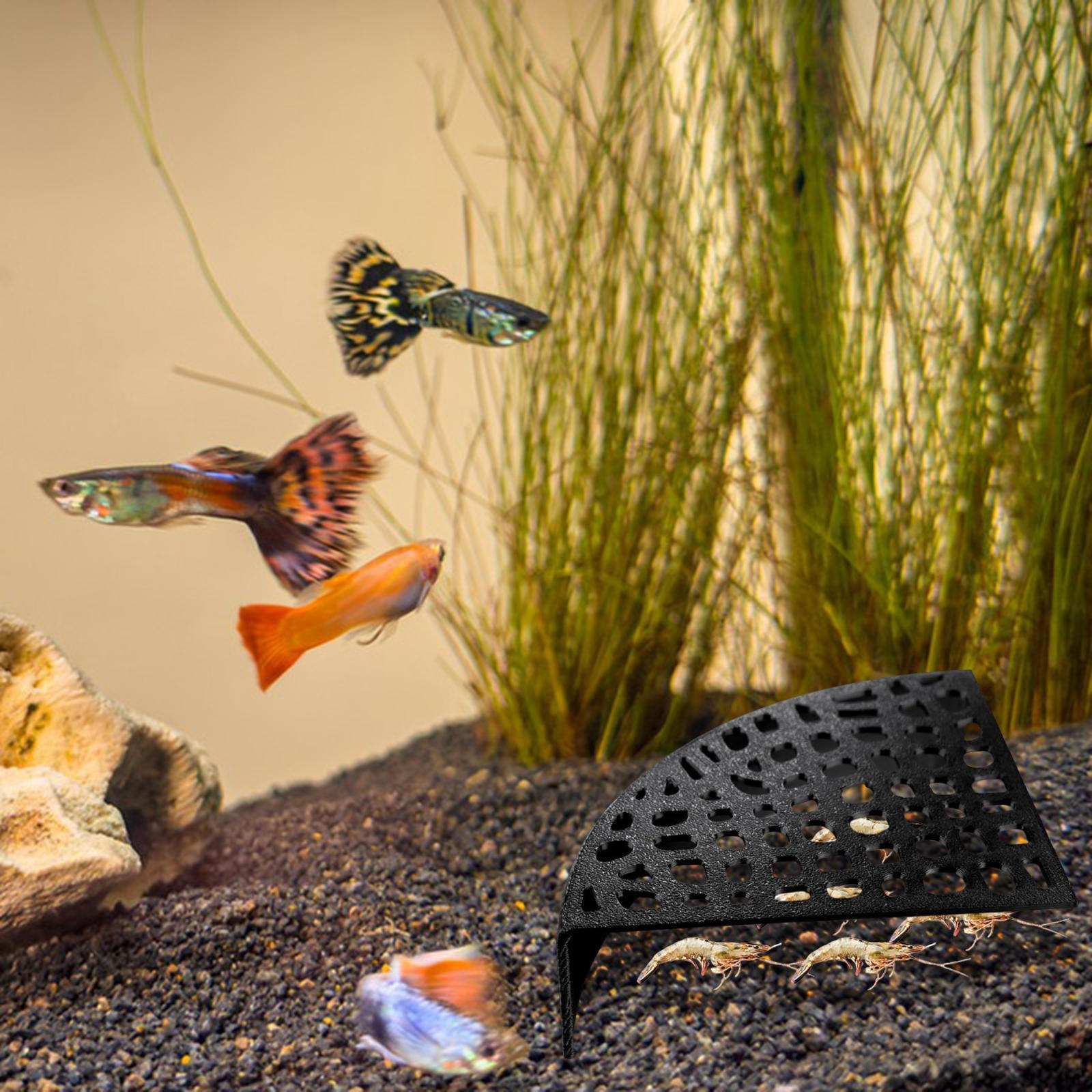 Shrimp Cave,Aquarium Hideout Shelter Ornament House Breeding Protector for Reptile Underwater
Shrimp Cave,Aquarium Hideout Shelter Ornament House Breeding Protector for Reptile Underwater