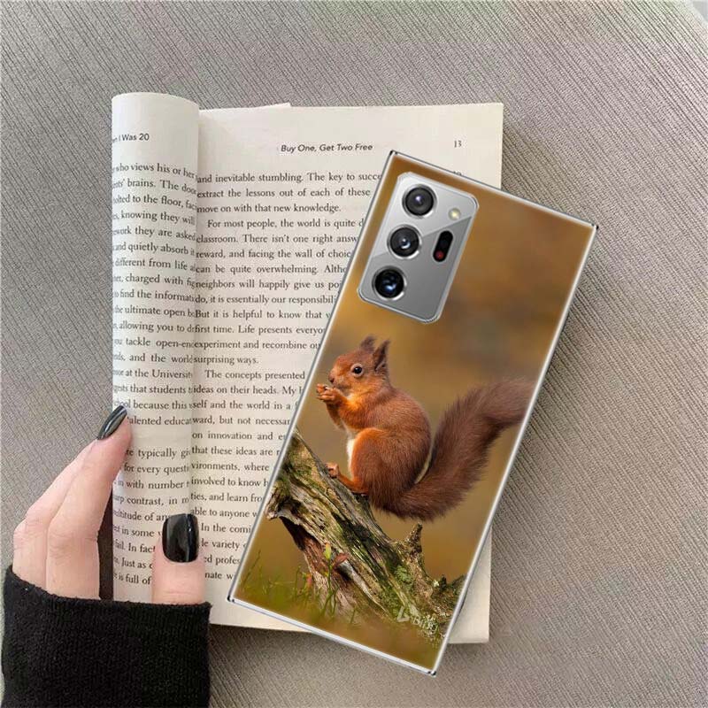 Forest Squirrels Foraging For Food Phone Case For Samsung Galaxy S25 Edge S24 S23 FE S22 S26 Ultra S21 S20 S10 Plus Capa Soft Samsung S22
Forest Squirrels Foraging For Food Phone Case For Samsung Galaxy S25 Edge S24 S23 FE S22 S26 Ultra S21 S20 S10 Plus Capa Soft Samsung S22