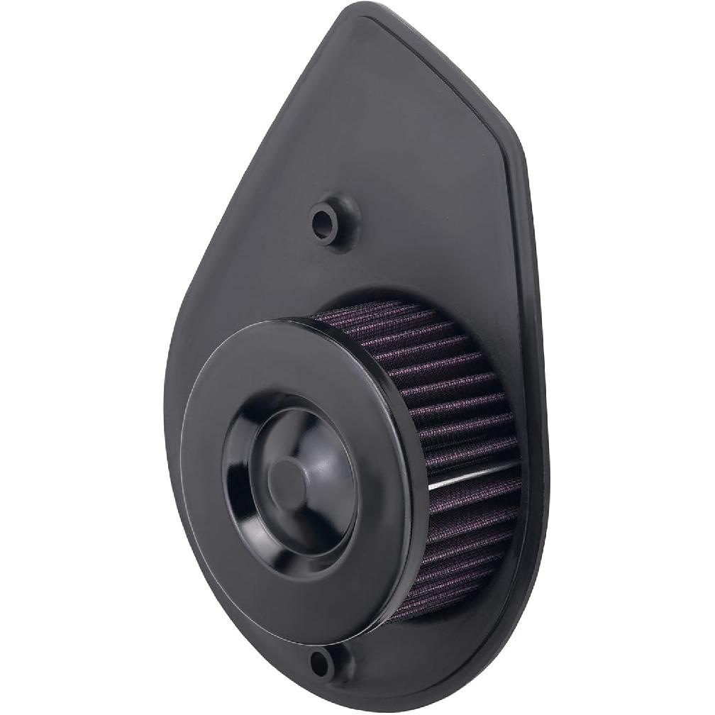 Road Passion Air Filter Replacement for Harley Street 500 750 XG500 XG750 2015 2016 2017 2018 2019 2020
Road Passion Air Filter Replacement for Harley Street 500 750 XG500 XG750 2015 2016 2017 2018 2019 2020