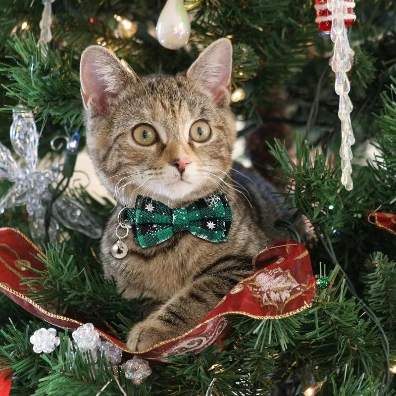 Christmas Bowknot Cat Small Dog Collar with Bell Plaid Snowflake Adjustable Breakaway Pet Puppy Kitten Safety Buckle Necklace 20-33cm зелёный
Christmas Bowknot Cat Small Dog Collar with Bell Plaid Snowflake Adjustable Breakaway Pet Puppy Kitten Safety Buckle Necklace 20-33cm зелёный