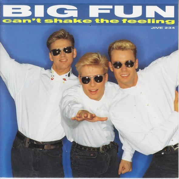 7inch Record BIG FUN - Can t Shake The Feeling JIVE234 Jive 1989 UK Dance & Electronica Used
7inch Record BIG FUN - Can t Shake The Feeling JIVE234 Jive 1989 UK Dance & Electronica Used