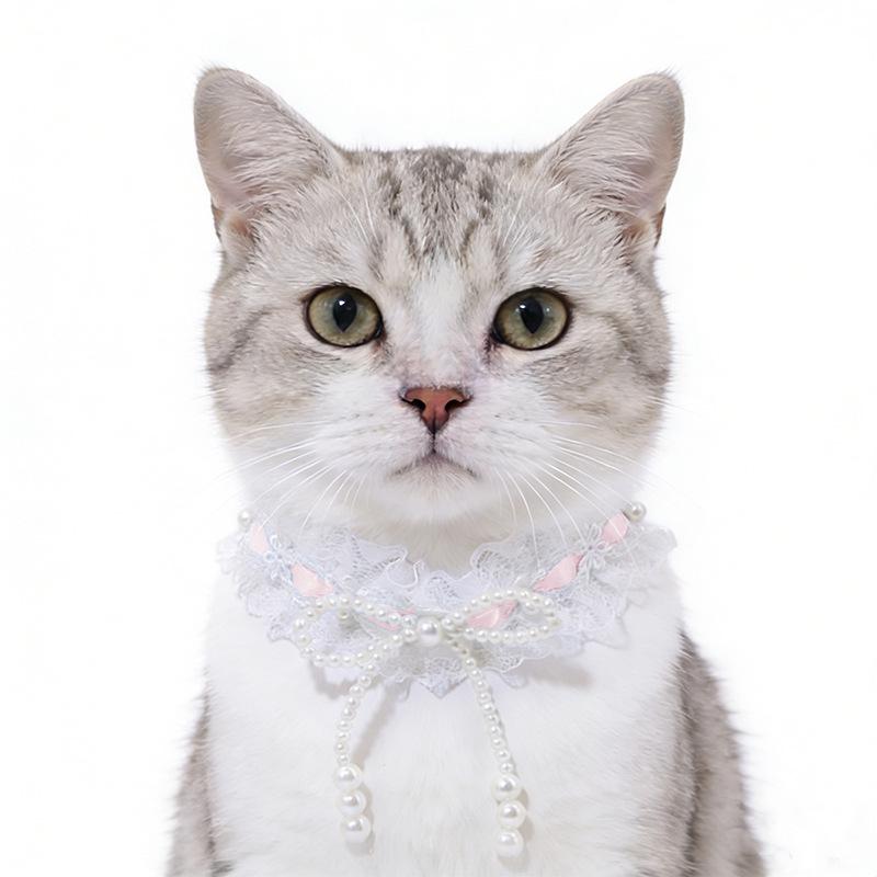 Universal Pet Collar: Cat & Dog Bib Accessory XS (15+5 cm tail chain)
Universal Pet Collar: Cat & Dog Bib Accessory XS (15+5 cm tail chain)