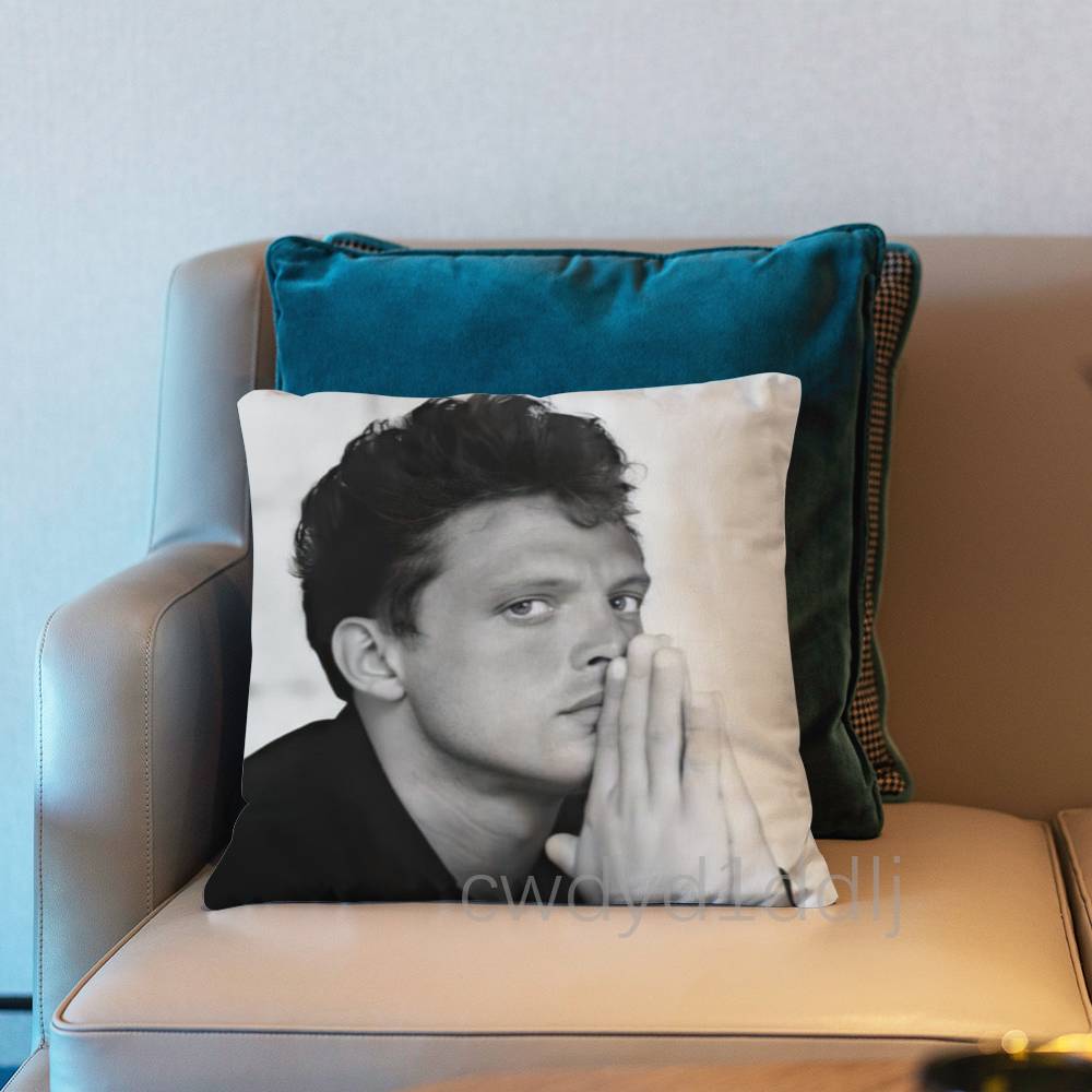 LLuis Miguel Singer Pillow Case Cover Square Sofa With For Pattern Comfortable Cushion suitable Of Room 30x30cm
LLuis Miguel Singer Pillow Case Cover Square Sofa With For Pattern Comfortable Cushion suitable Of Room 30x30cm