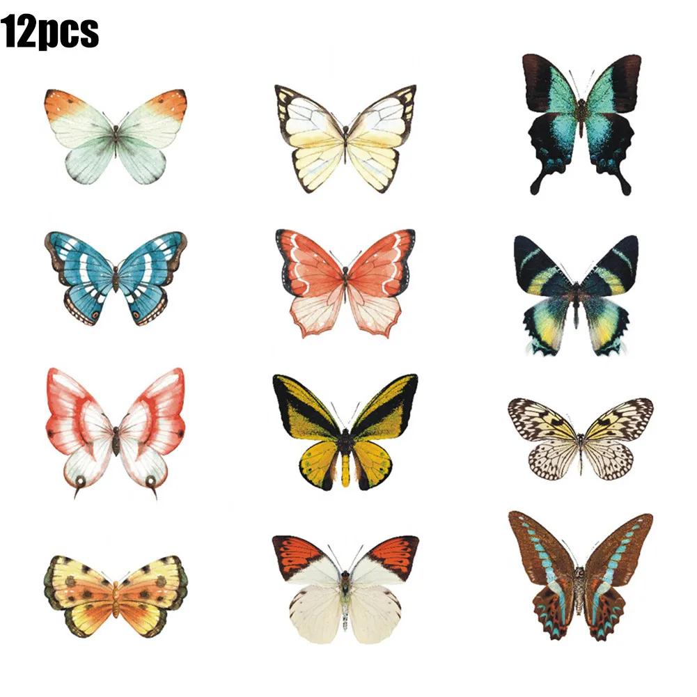 Large Size Butterfly Stickers Anti-Collision Glass Clings Doors Glass Decor Home Decoration Stickers
Large Size Butterfly Stickers Anti-Collision Glass Clings Doors Glass Decor Home Decoration Stickers