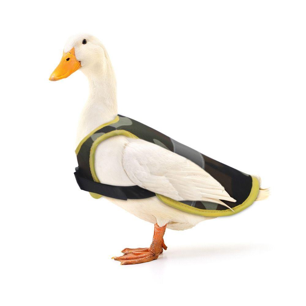Poultry Supplies Chicken Vest Breathable Hen Saddle Apron Accessories Hen Reflective Vest 2
Poultry Supplies Chicken Vest Breathable Hen Saddle Apron Accessories Hen Reflective Vest 2