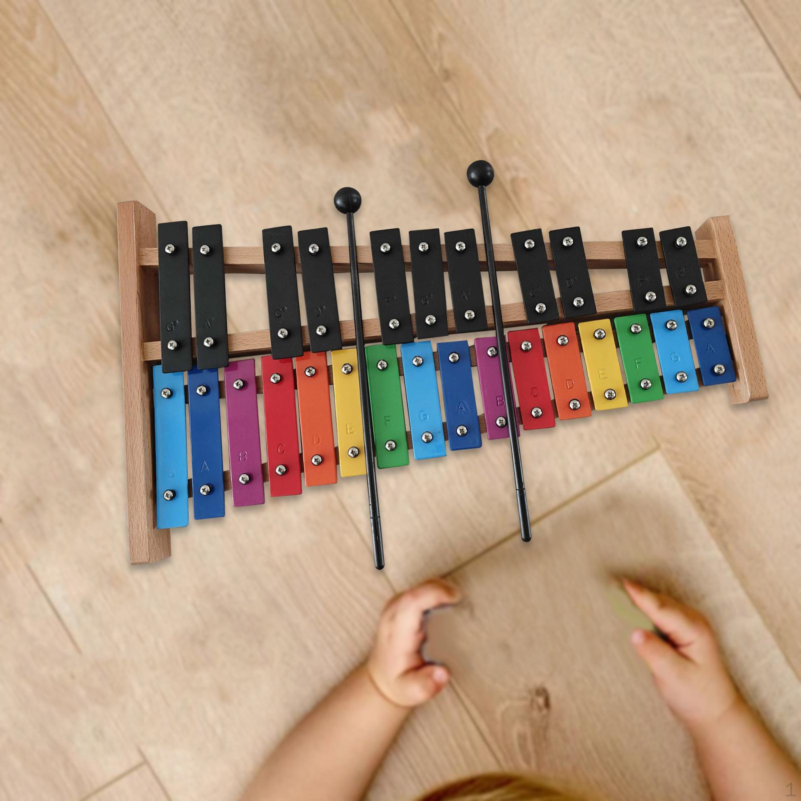 27 Note Xylophone Professional Easy to Play Music Teaching Percussion Instrument with Mallets for
27 Note Xylophone Professional Easy to Play Music Teaching Percussion Instrument with Mallets for
