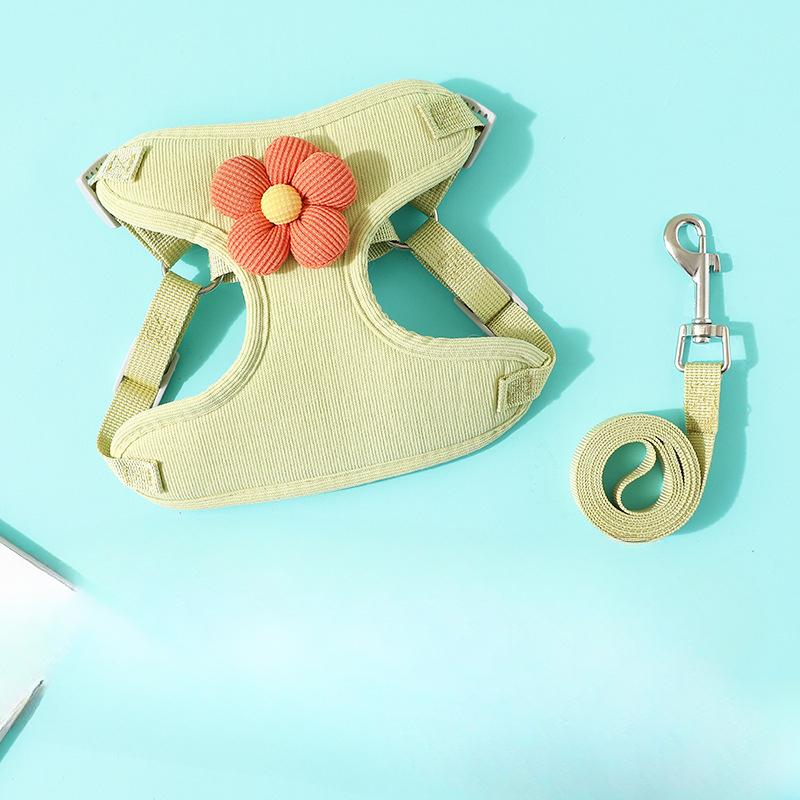 Поводок для щенка, Жилет для собаки, Маленький щенок Тедди, Бишон фризе, Цепь-шлейка для бишон фризе, Выгул собаки S зелёный
Поводок для щенка, Жилет для собаки, Маленький щенок Тедди, Бишон фризе, Цепь-шлейка для бишон фризе, Выгул собаки S зелёный