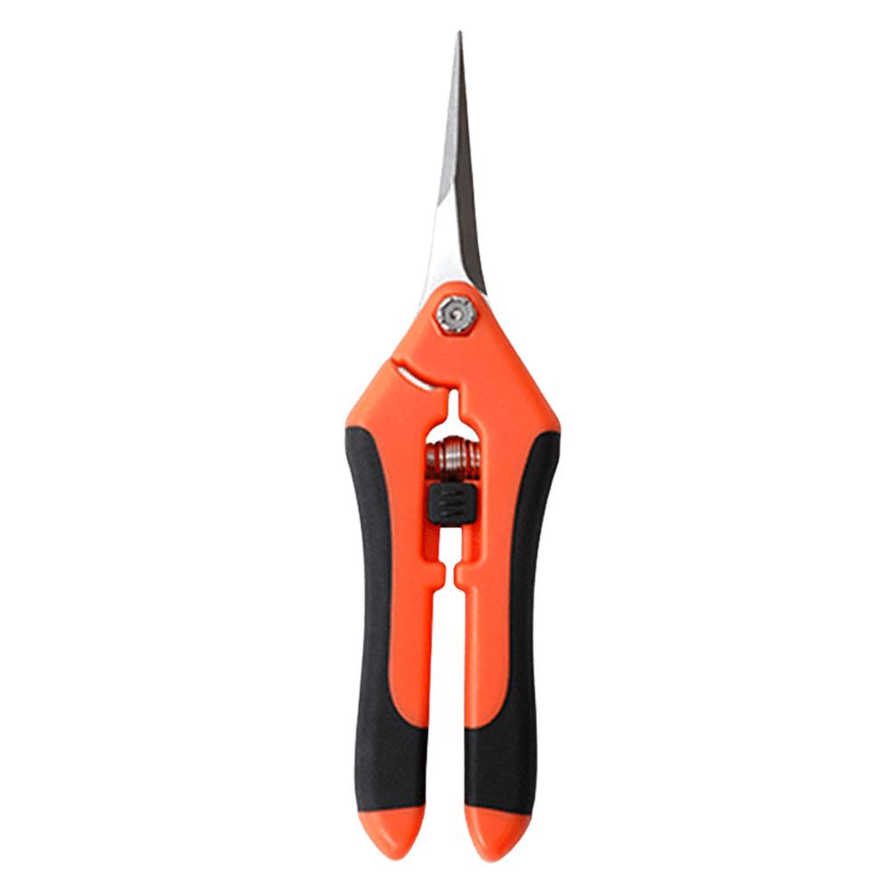 Садовые ножницы, ручной секатор, садовые ножницы, лезвия из нержавеющей стали, многофункциональные садовые принадлежности, 6,5 дюйма UNITED KINGDOM оранжевый
Садовые ножницы, ручной секатор, садовые ножницы, лезвия из нержавеющей стали, многофункциональные садовые принадлежности, 6,5 дюйма UNITED KINGDOM оранжевый